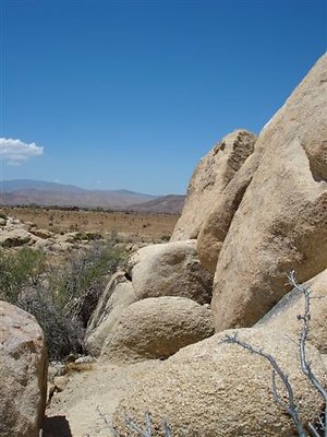DSC05094