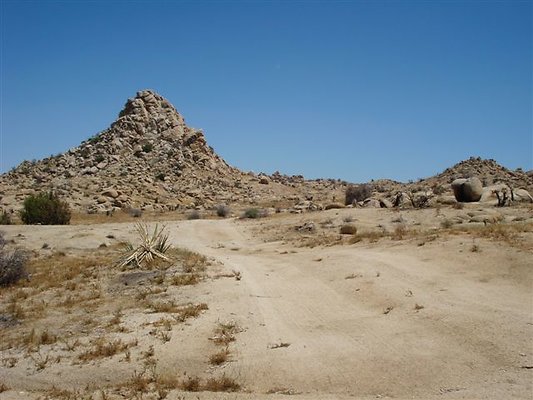 DSC05125