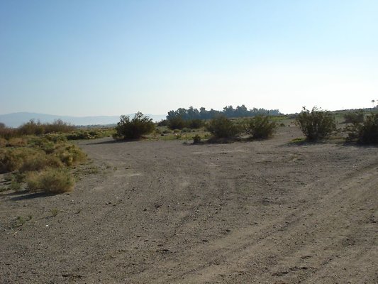 DSC07049