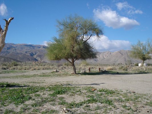 DSC07059