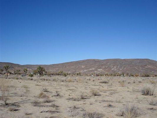 DSC01153