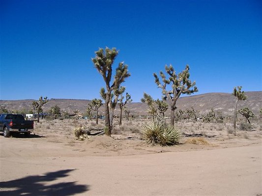 DSCF1582