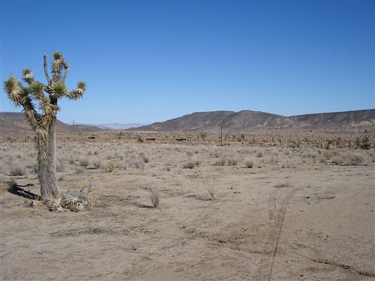 Hayden Ranch.Loc.Unltd.