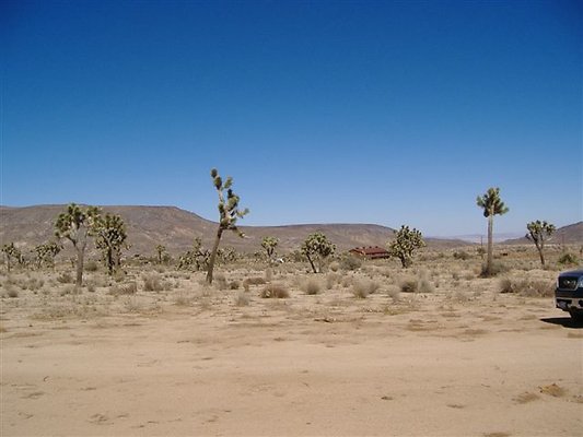 DSCF1585