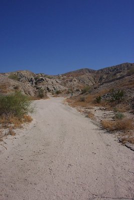 DCP 3999