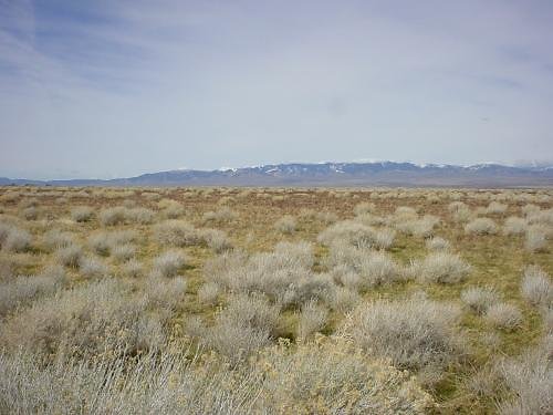 1a