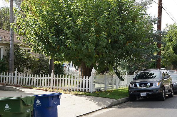 Magnolia.Blvd.East.EN.43