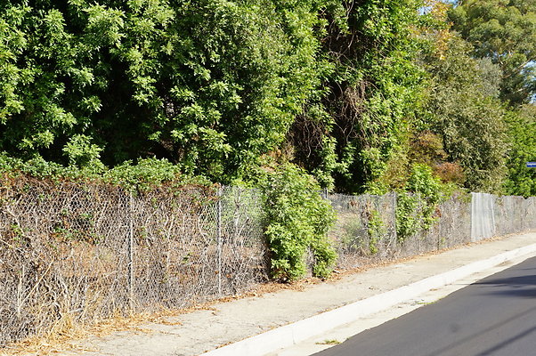 Magnolia.Blvd.East.EN.40