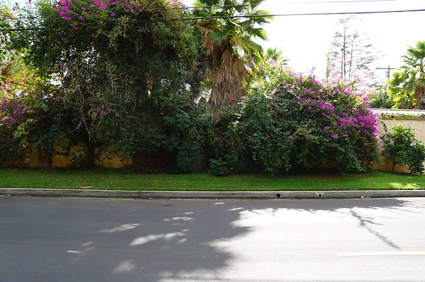 Magnolia.Blvd.East.EN.53