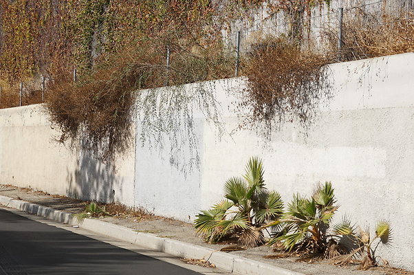 Magnolia.Blvd.East.EN.10
