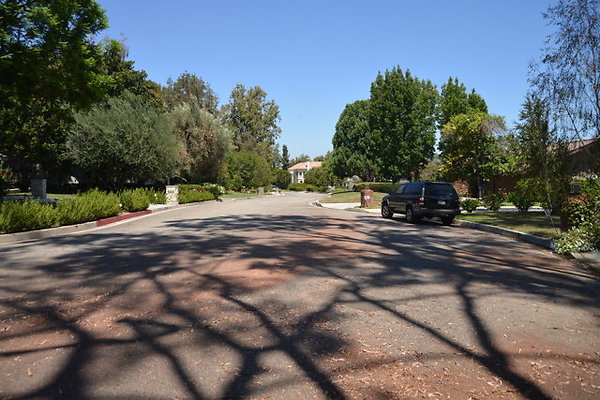 Street.Tree.Lined.Margate St at Ostrom Ave - Encino