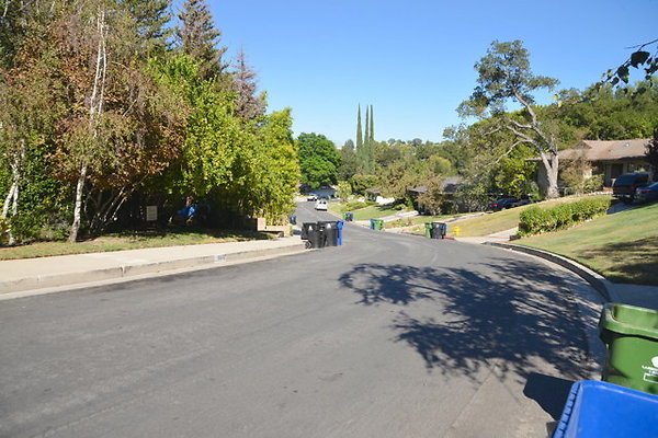 Street.Tree.Lined.Cerrillos Dr at San Feliciano Dr