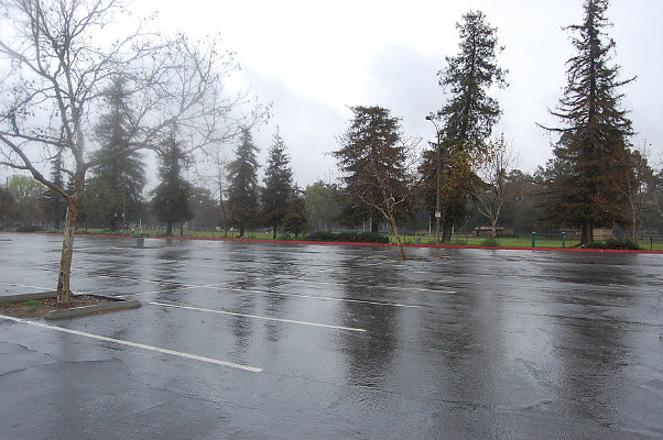 DSC 0047