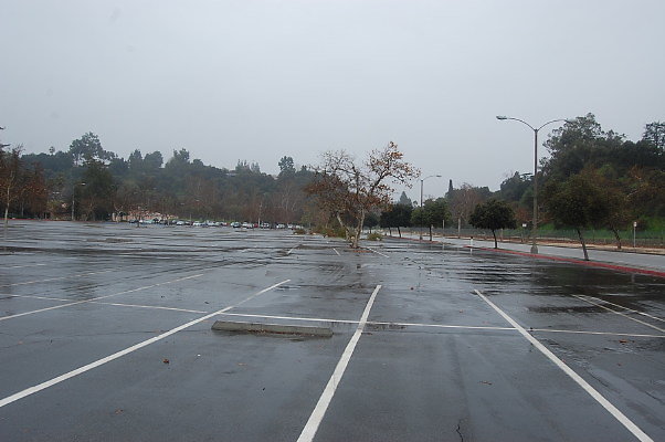 DSC 0044