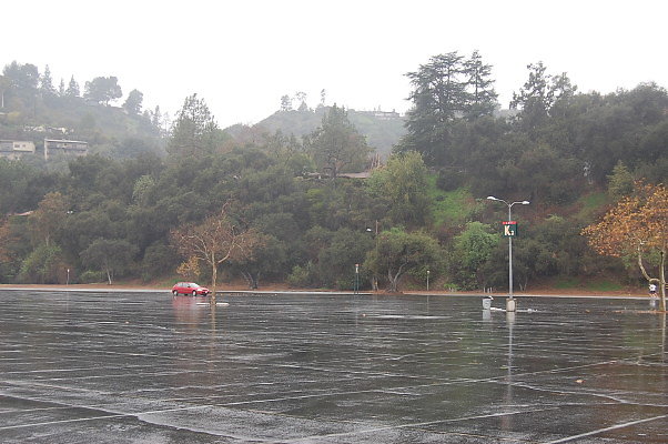 DSC 0021