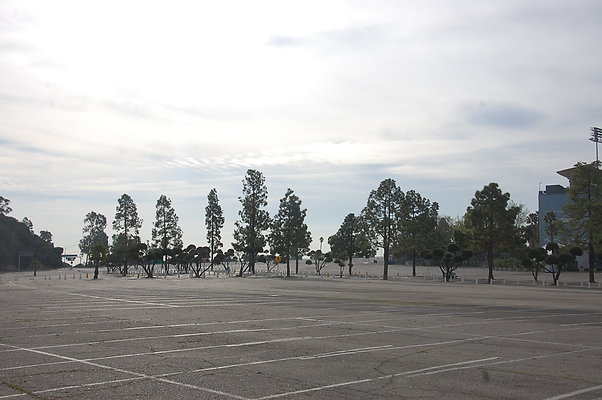 DSC 0032