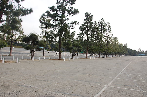 DSC 0011