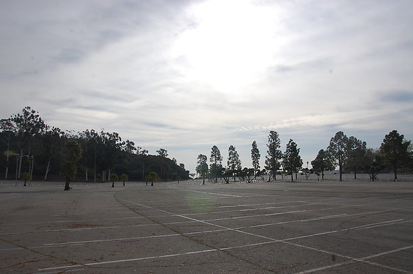 DSC 0029