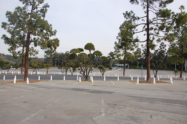 DSC 0021