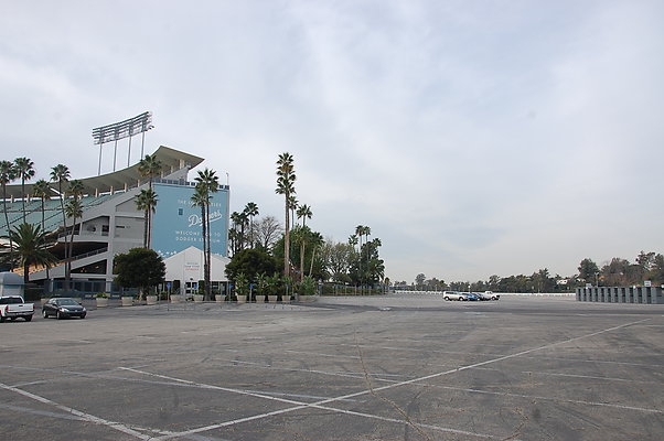 DSC 0004