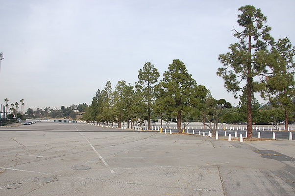 DSC 0016