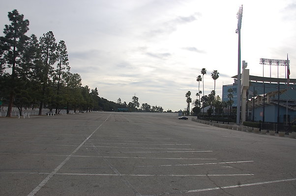DSC 0012