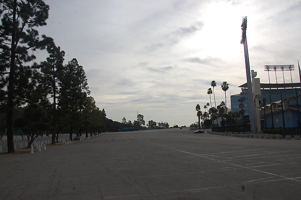 DSC 0002