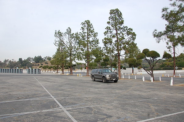 DSC 0009