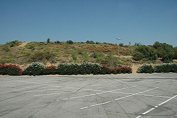 119