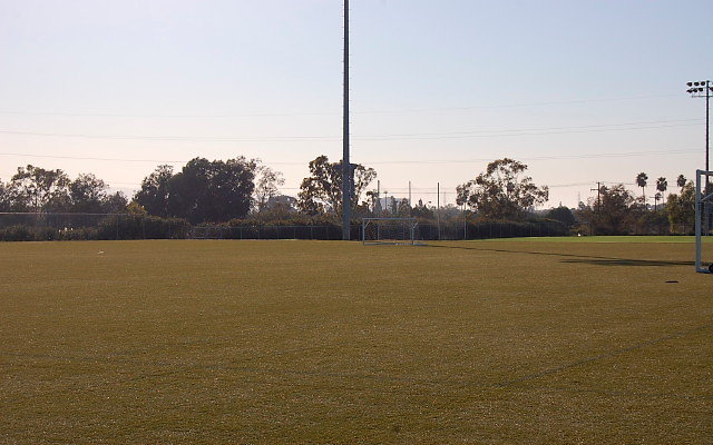 DSC 0134
