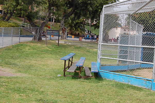 DSC 0046