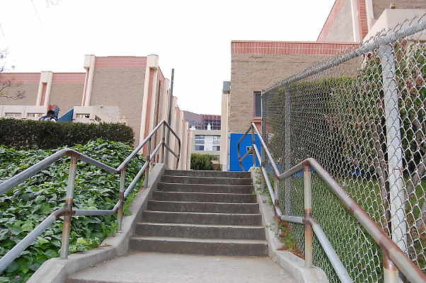 DSC 0065