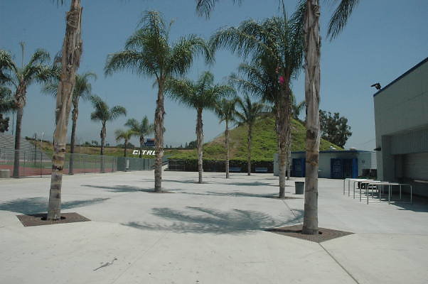 DSC 0212