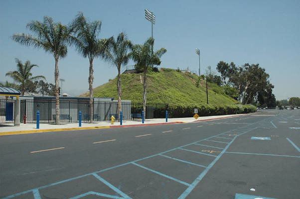 DSC 0203