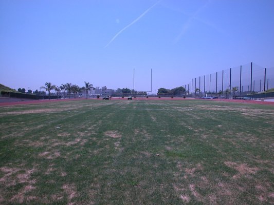 Field.View West