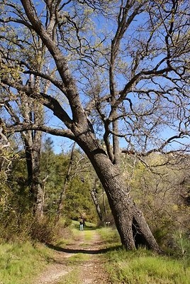 zaca-lake-retreat14