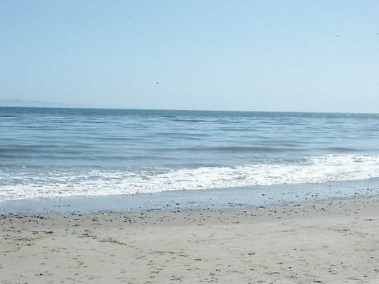 PICT0457