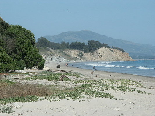 PICT0466