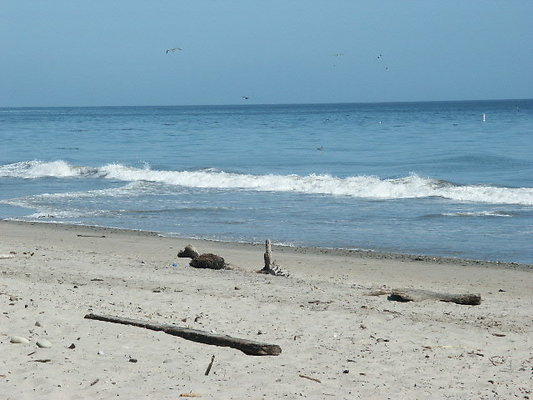 PICT0467