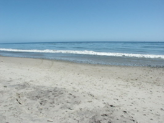 PICT0445