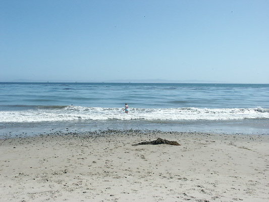 PICT0456