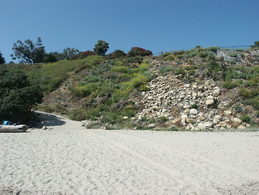 PICT0452