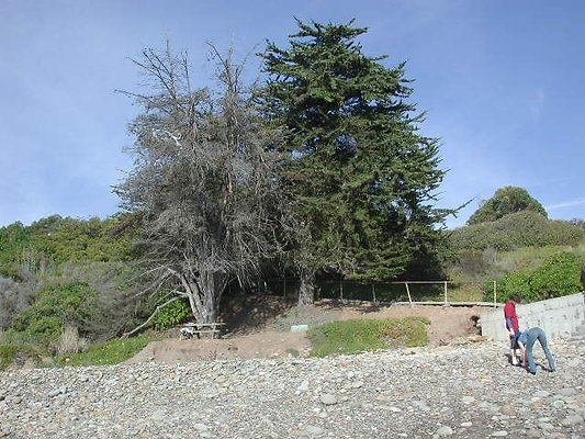 El Cap State 1-1005