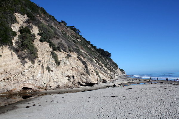 IMG 0055