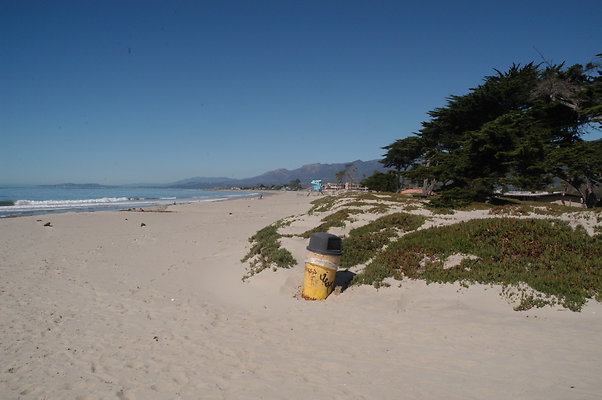 DSC 4878