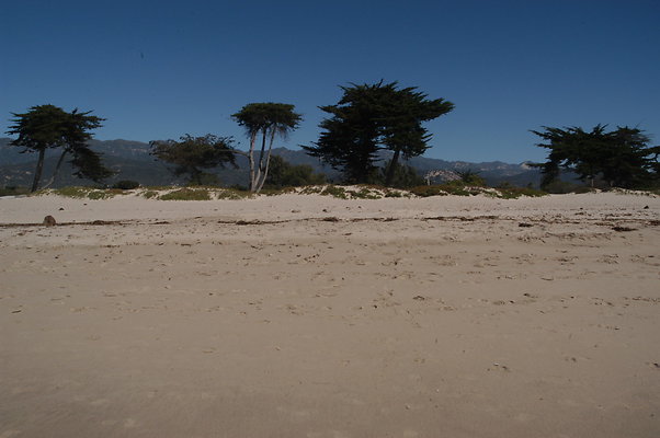 DSC 4885