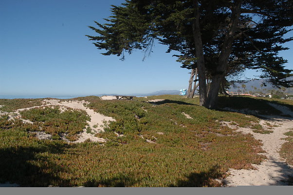 DSC 4907