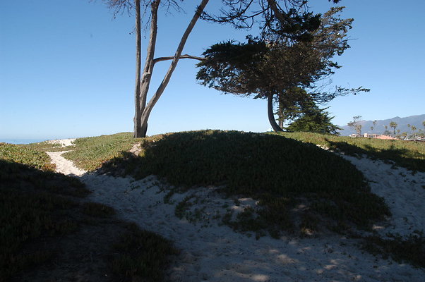 DSC 4904