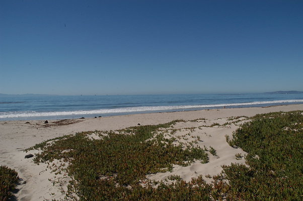 DSC 4899