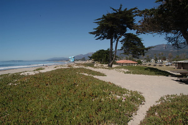 DSC 4900